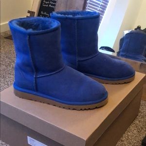 Blue short Ugg’s